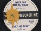 RICKY AND TAMMY  THE BLUE JAYS  Rare 1965 Aust Only 7