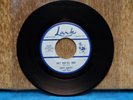 SKIPPY ROBERTS & Four Jacks Holy Mak'ral Andy 45rpm R&B Rocker LARK HEAR