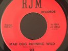 See Houston Texas 70s psych fuzz unknown RARE Mad Dog Running Wild 45 Bonehead