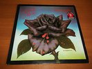 THIN LIZZY BLACK ROSE A ROCK LEGEND ORIG GREEK LP 1979 MOORE LYNOTT RARE