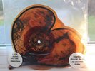 Madonna Into the Groove Shaped orange picture disc