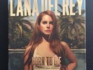 Lana Del Rey Born To Die The Paradise Edition Limited Boxset