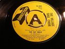 THE VILLAGE SOUL CHOIR - THE CAT WALK..U.K DIRECTION PROMO