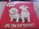 Slaves - Are You Satisfied? - LP Vinyl //// Neu & OVP