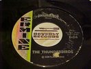 rare Indie Rock Ermine 54 The Thunderbirds 