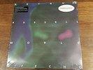 ARTHUR RUSSELL WORLD OF ECHO   LP X 2  MINT