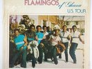Flamingos 