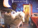 FALL OUT BOY - Infinity On High (reissue) - Vinyl (2xLP)