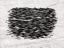 VINCE STAPLES Summertime '06 (Segment 2) LP NEW VINYL Def Jam No I.D. Clams Casi