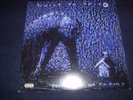 BUILT TO SPILL RECORD TITLED 