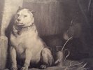 Pavlov's Dog ?– Pampered Menial / CBS 80872 /FOC Mint- 1975