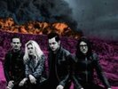 The Dead Weather-Dodge and Burn  Vinyl / 12