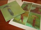 Sol Invictus ?- In the Rain - Gatefold LP incl. poster