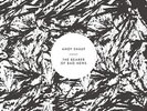 Bearer Of Bad News - Andy Shauf (2015, Vinyl NUEVO)