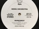 Biddu Orchestra “Rainforest” RARE WLP PROMO DOUBLE SIDED DISCO 12” MINT
