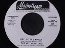 WE THREE TRIO: Hey, Little Woman / 'till Next Summer 45 (dj, sm tol) rare Soul