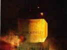 BLACKFIELD - BLACKFIELD 1 (GATEFOLD)  2 VINYL LP  PROGRESSIVE ROCK  NEW+