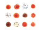 PETER GABRIEL SCRATCH MY BACK AND ILL SCRATCH YOURS LP VINYL  NEW