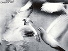 Donald Byrd - Free Form - NEW  LP