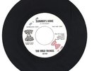 Wild Things 1967 Blue Onion 45rpm Summers Gone b/w Taste Your Lips OHIO gArAgE