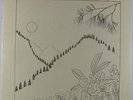 Harmonym - Blossoms In The Wild LP - Hornpipe - Private SC SSW Folk SEALED