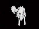 Sigur Ros Kveikur NEW SEALED 180g VINYL 2 LP *FREE UK POST *WORLD SHIP Sigur Rós