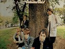 The Easybeats - The Shame Just Drained, 15 Unreleased Tracks, LP