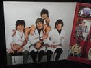 THE BEATLES RARITIES BUTCHER COVER PHOTO CAPITOL RECORDS ORIGINAL INNER SLEEVE