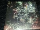 la dispute - wildlife converge touche amore screamo pg.99 my chemical romance
