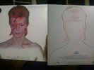 David Bowie Aladdin Sane Vinyl