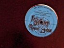 Radio Show: KING BISCUIT FLOWER HOUR  6/13/82 FRANKE & KNOCKOUTS AND THE DREGS