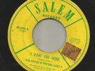 TEEN  GARAGE ROCKER CHICKS-  OPALS & the BEL-AIRS 4   -HEAR -1965 MASS. SALEM