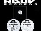 LARGE PROFESSOR, THE - THE LARGE PROFESSOR - 2 LP VINYL 12