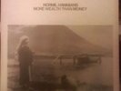 Normil Hawaiians - More wealth than money 2 vinyl NM/NM Illuminated Records lp
