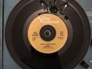 CHAPTER V Headshrinker b/w Dolly's Magic 45 VERVE FORECAST PROMO  GARAGE ROCK