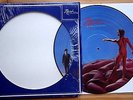 EX/EX RUSH HEMISPHERES VINYL LP PICTURE PIC DISC