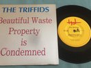The Triffids ?– Beautiful Waste 7