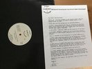 MUSIC VIEW RADIO DJ only 1987 LP NM Replacements Celibate Rifles Redd Kross