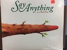 SAY ANYTHING - Is A Real Boy 2x LP 2016 Pressing Black Vinyl Max Bemis Emo Punk