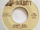 The Penny Arcade “Funky Way” RARE PRIVATE GARAGE FUNK ROCK BREAKS 7