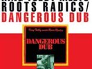King Tubby meets Roots Radics-Dangerous Dub  Vinyl / 12