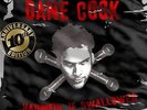 COOK,DANE-HARMFUL IF SWALLOWED  VINYL LP NEW