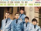 The Animals-Bring It On Home To Me/We've Gotta Get Out Of This Palace 45 giri NM