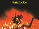PETER TOSH BUSH DOCTOR LP VINYL NEW 2014 33RPM