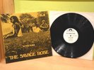 SAVAGE ROSE - IN THE PLAIN      SAMPLE - WHITE LABEL POLYDOR - RECORDS Prog Rock