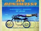 Joe Bonamassa - Different Shades Of Blue Vinyl LP | White Stripes
