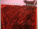 LP YO LA TENGO - Fakebook  1990