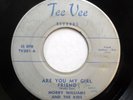 Morry Williams & Kids DOOWOP 45 Are you my girlfriend / Louise TEE VEE VG HEAR