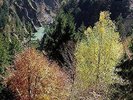 Pole - Wald [New Vinyl LP]