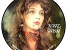 Kate Bush Interview I Picture Disc picture disc LP vinyl album record UK
